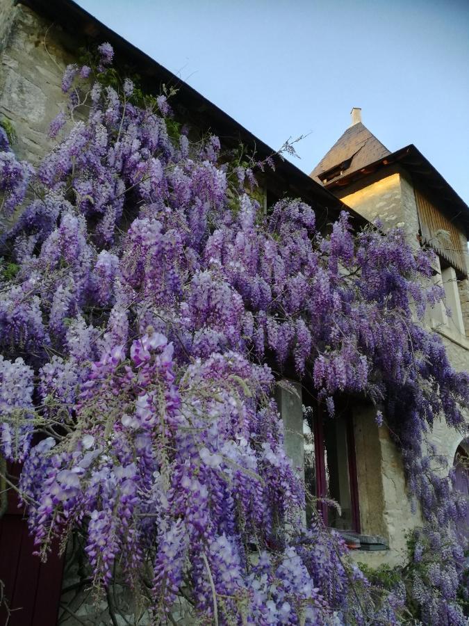 Saint-Gaultier Chateau St.Gaultier מראה חיצוני תמונה