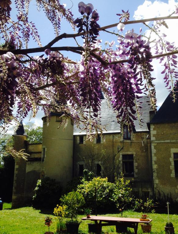 Saint-Gaultier Chateau St.Gaultier מראה חיצוני תמונה