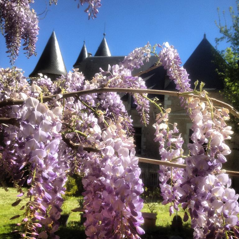 Saint-Gaultier Chateau St.Gaultier מראה חיצוני תמונה